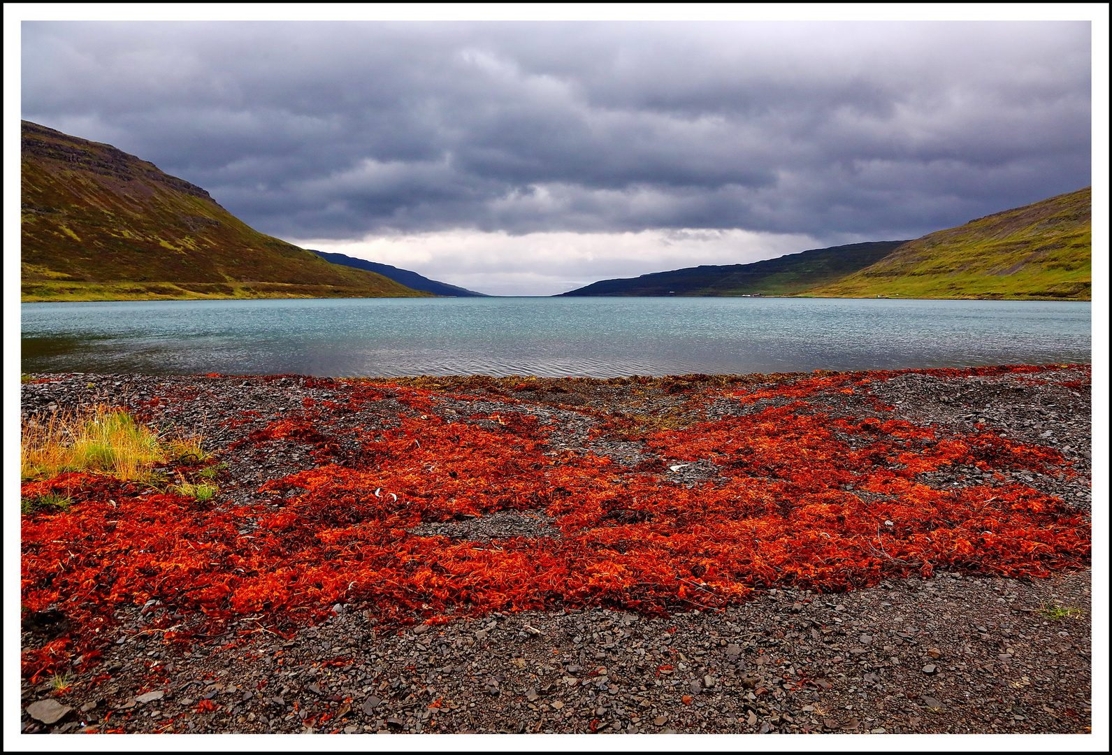 Farben des Meeres I