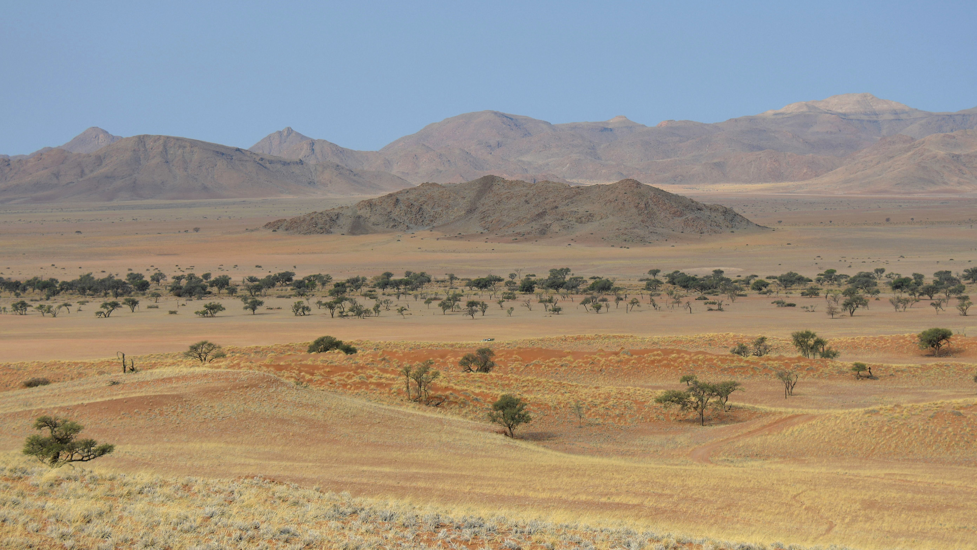 Farben des Namib Rands