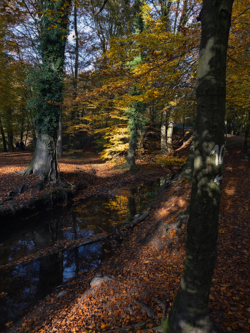 Farben des November 2011