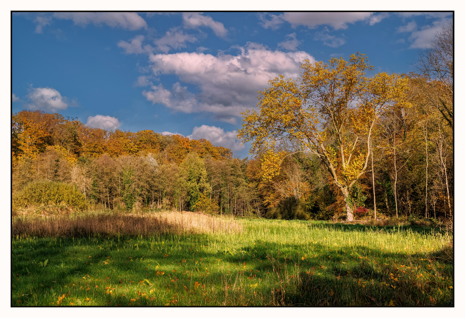 Farben des Novembers