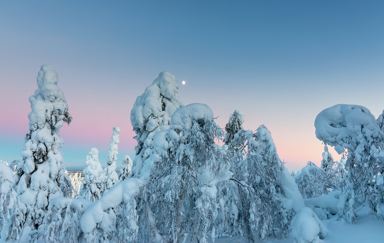 Farben des Polarkreises