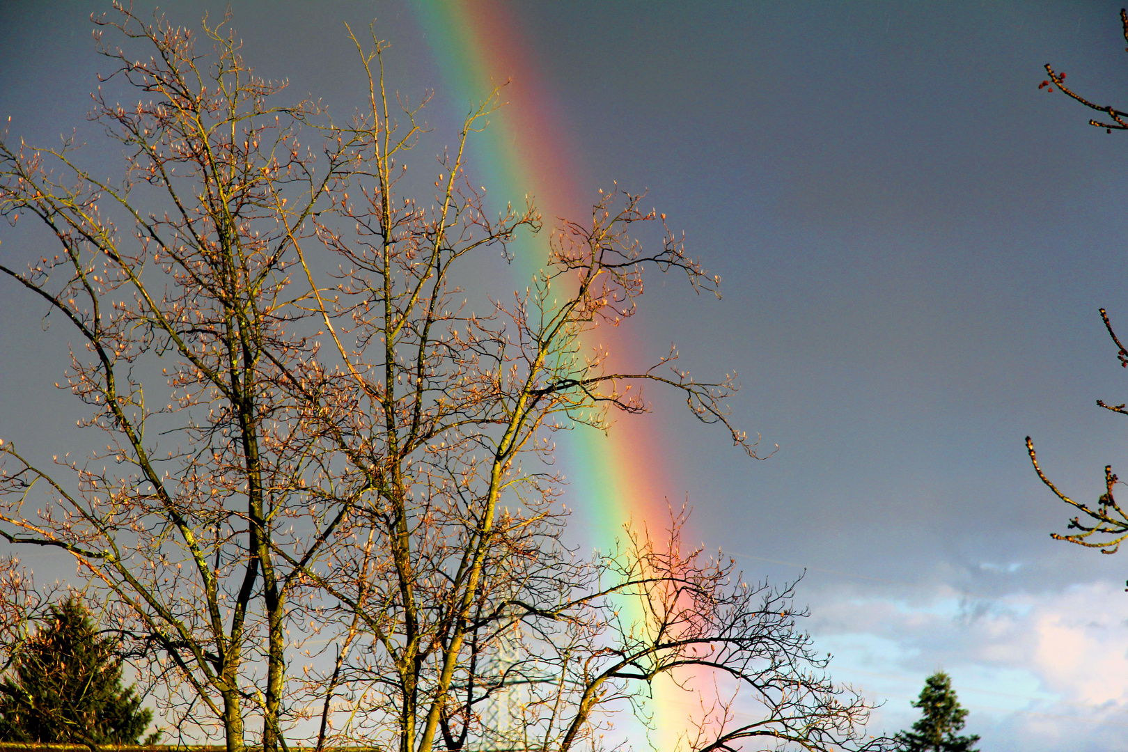 Farben des Regenbogens