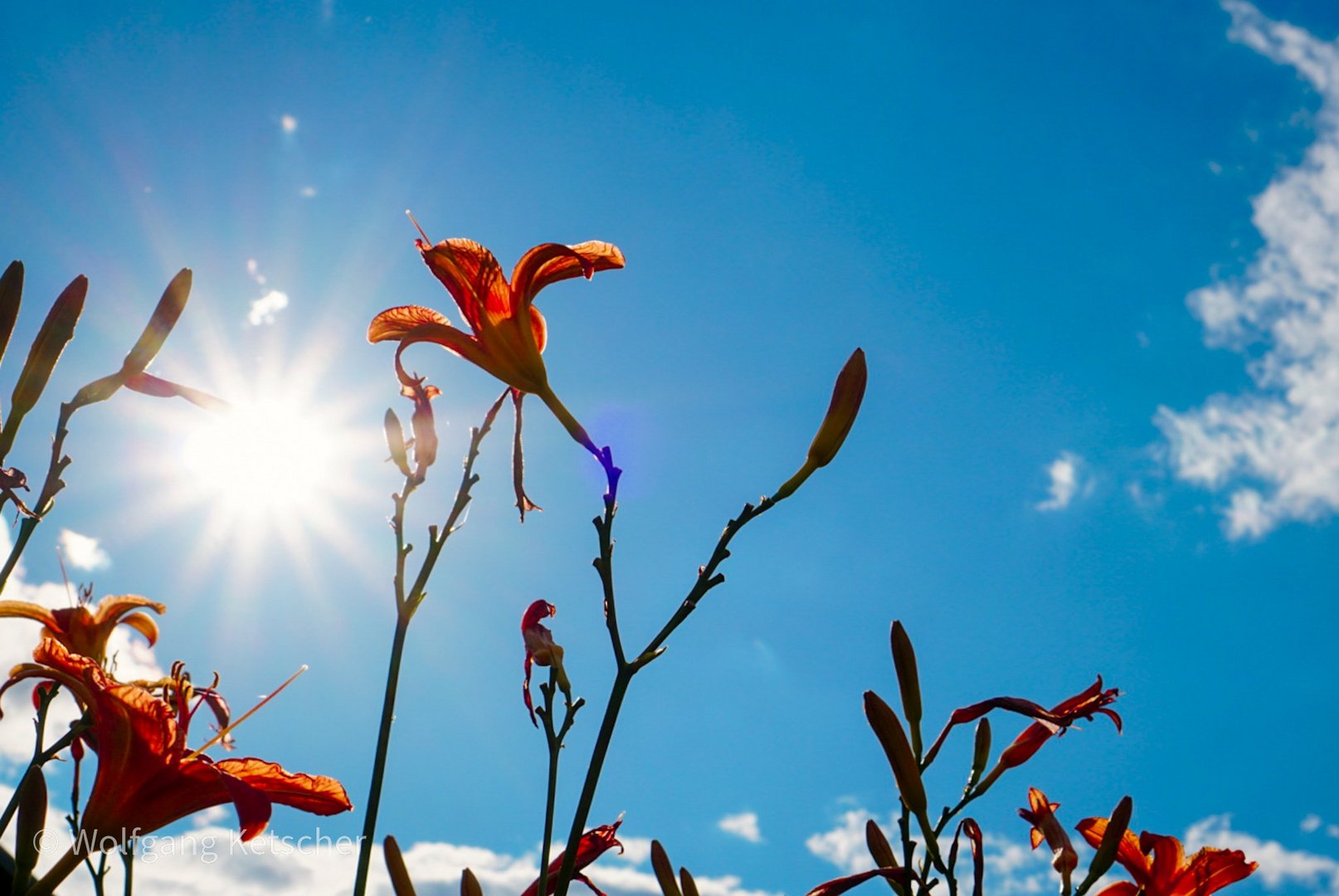 Farben des Sommer 