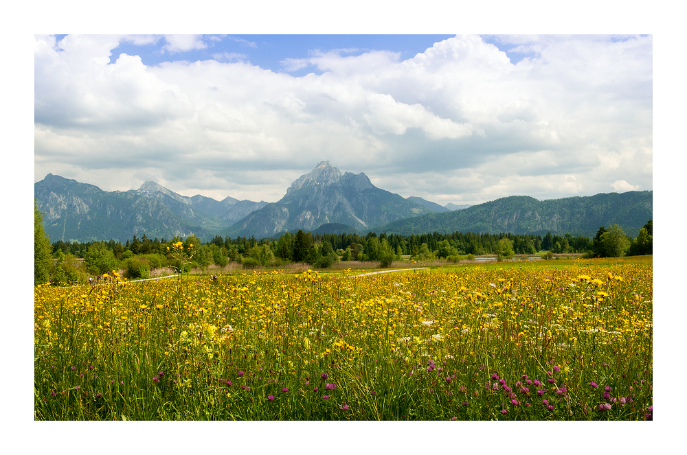 Farben des Sommers