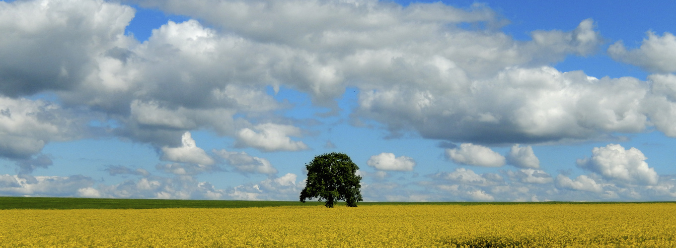 Farben des Sommers