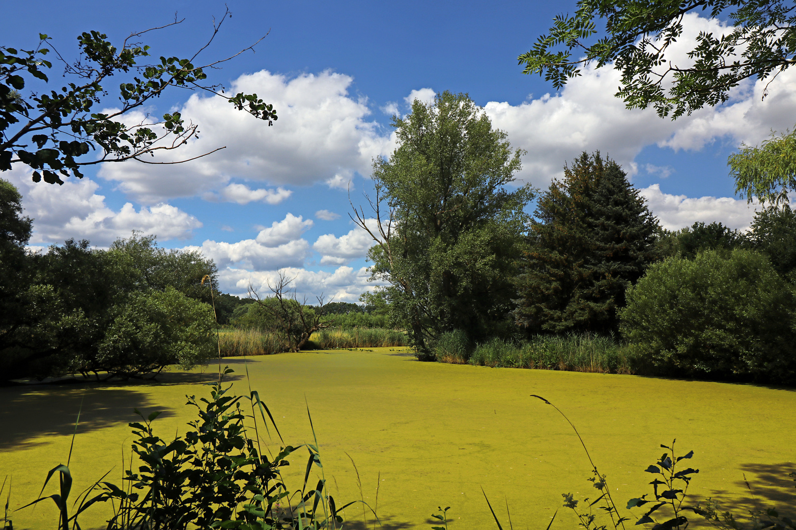 Farben des Sommers