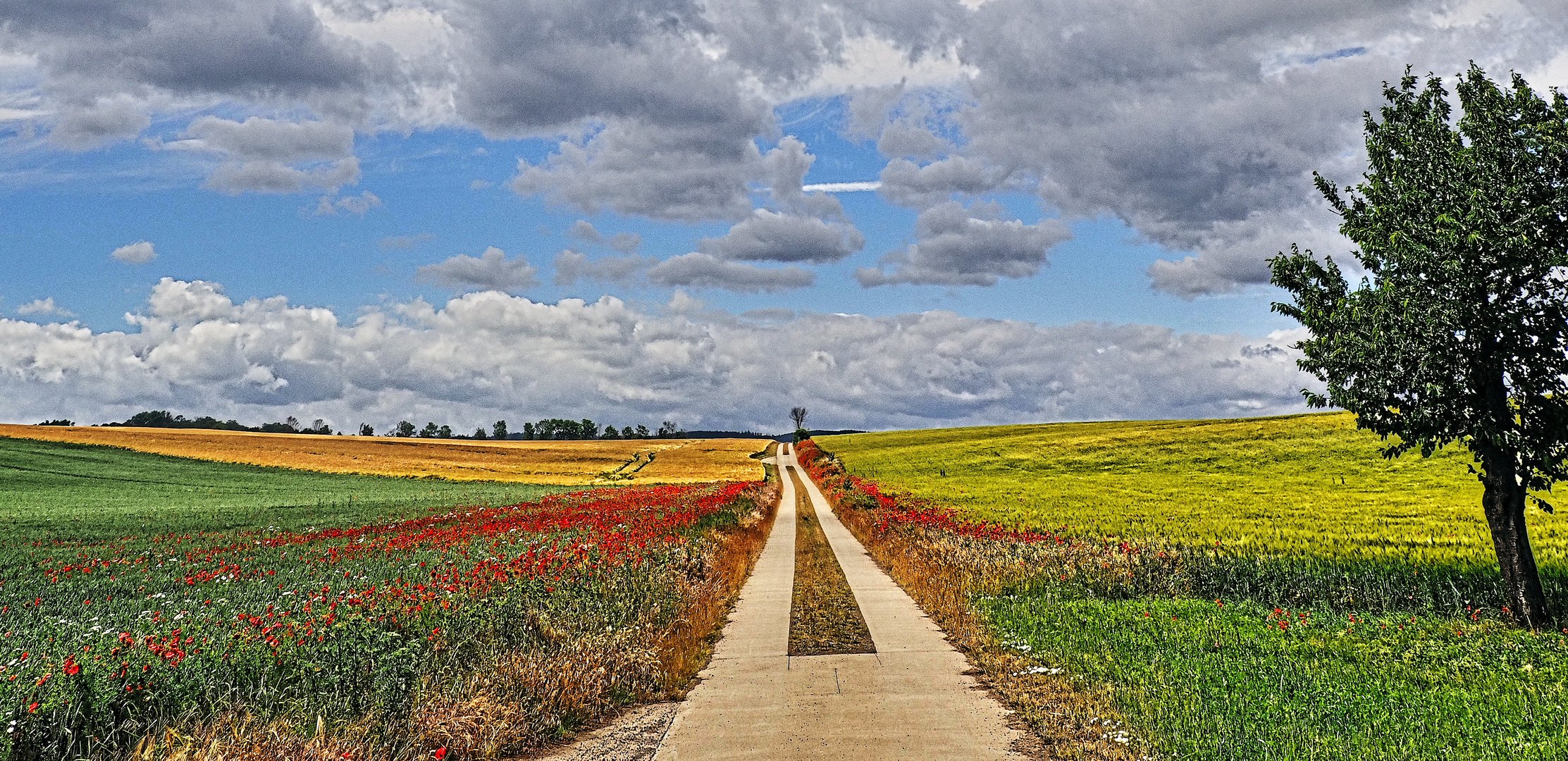 Farben des Sommers