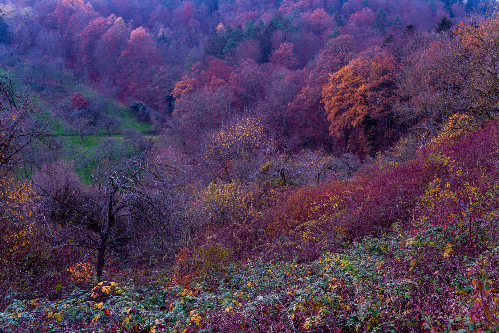 Farben des Spätherbsts