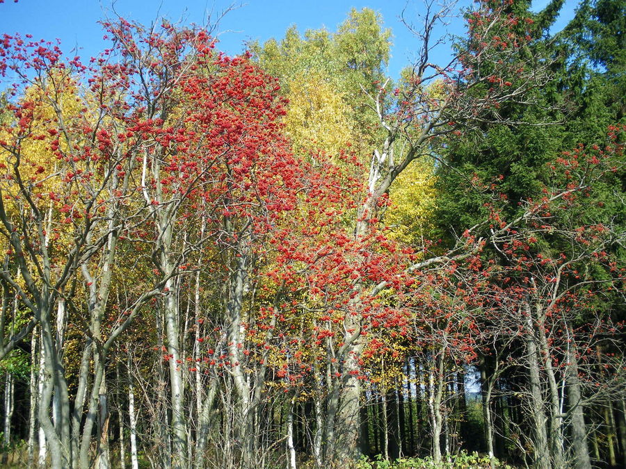 Farben des Spätsommer