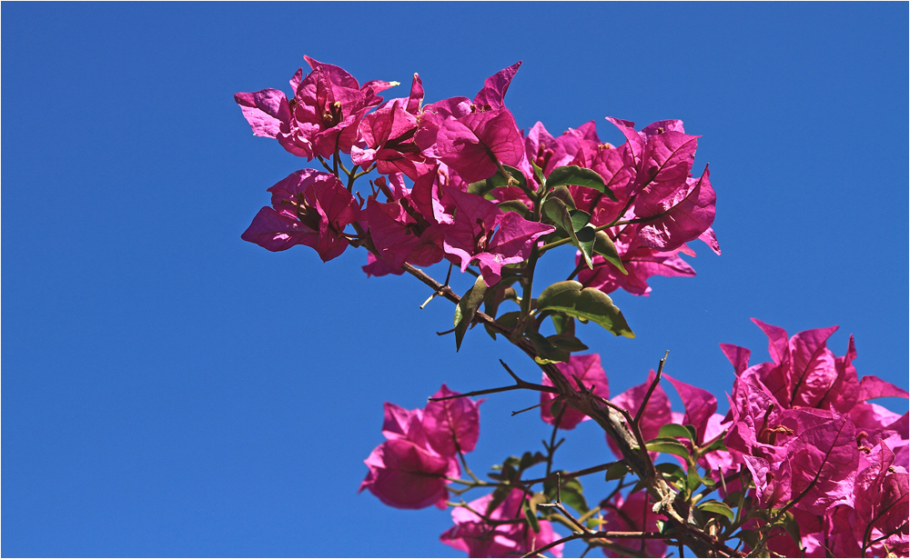 Farben des Südens