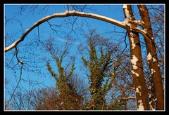 Farben des Winters