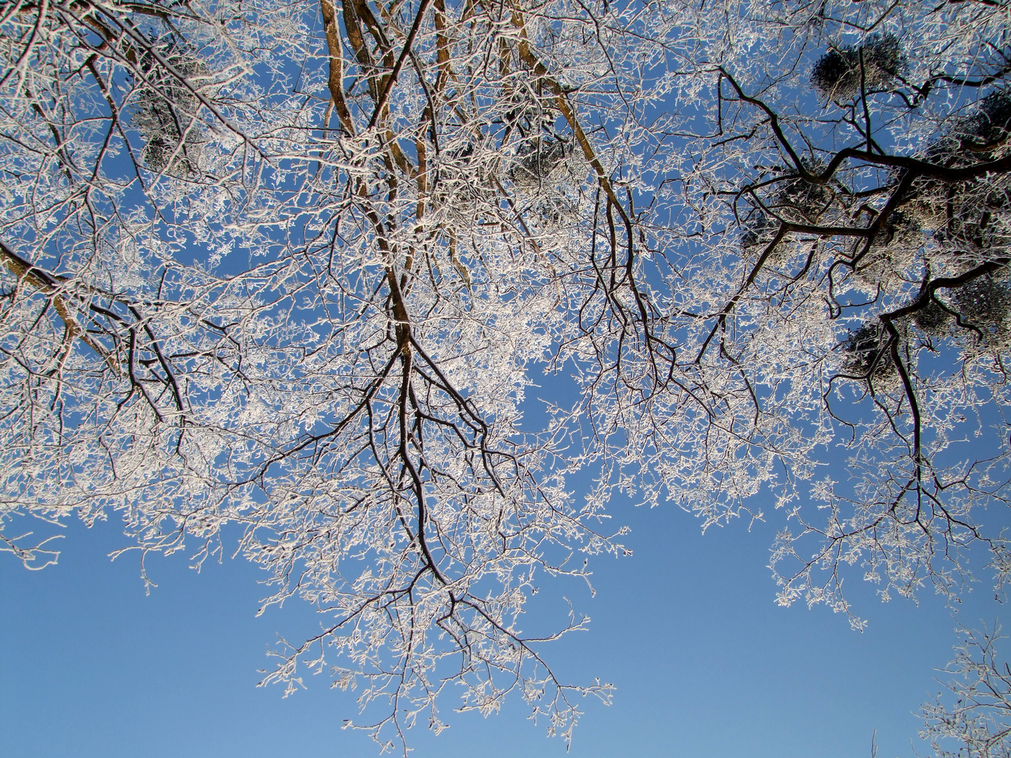 Farben des Winters