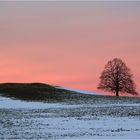 Farben des Winters