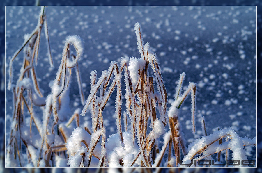 Farben des Winters