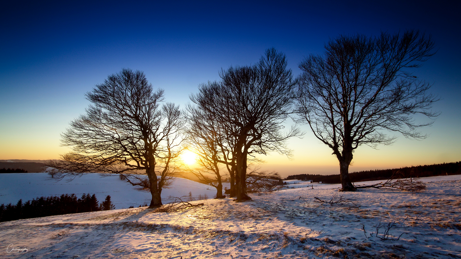 Farben des Winters