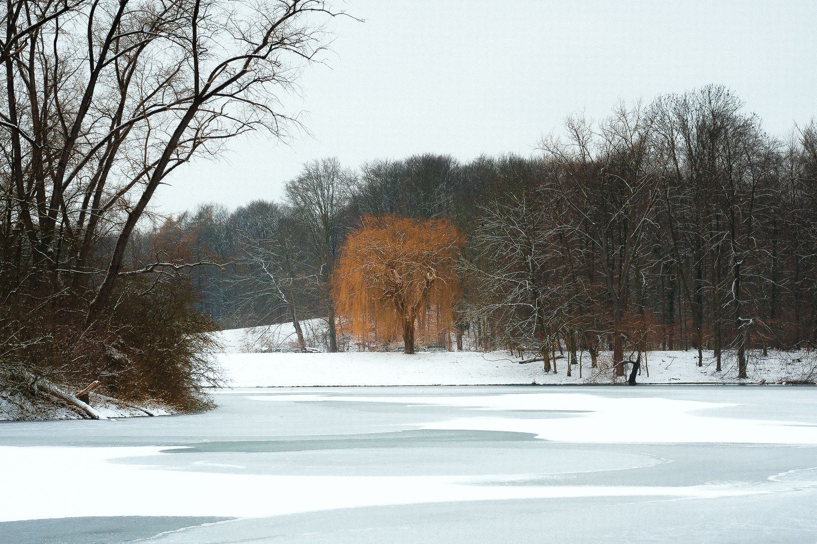 Farben des Winters