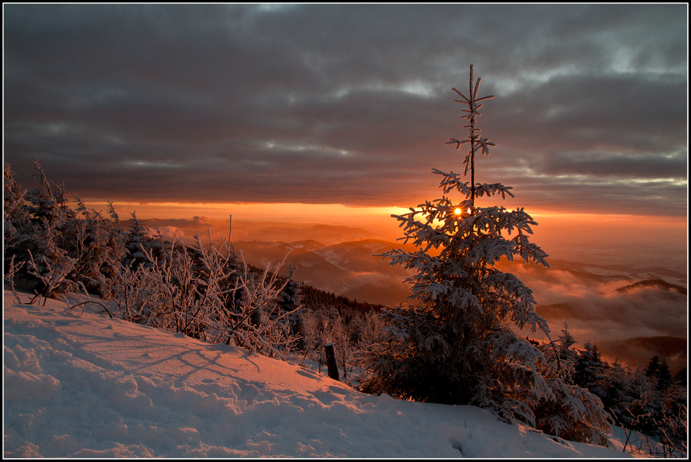 Farben des Winters