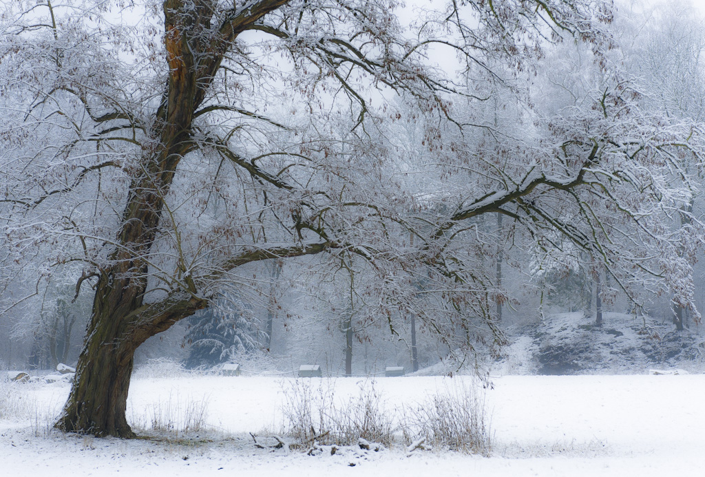 Farben des Winters