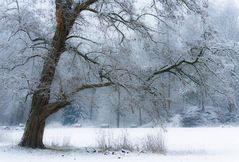 Farben des Winters