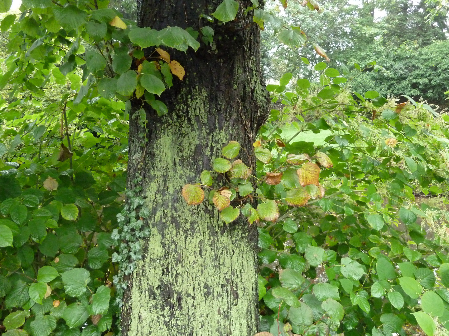 farben, die die natur wählt:))