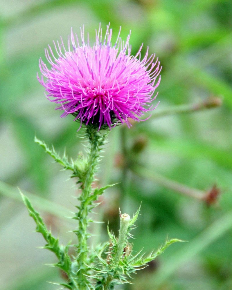 Farben durch die Natur