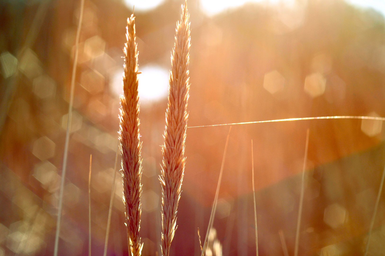 farben durch licht