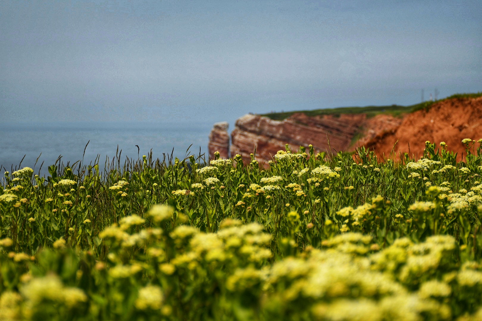 Farben einer Insel 