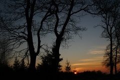 Farben einer Winternacht