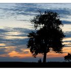 Farben eines Spätsommerabends