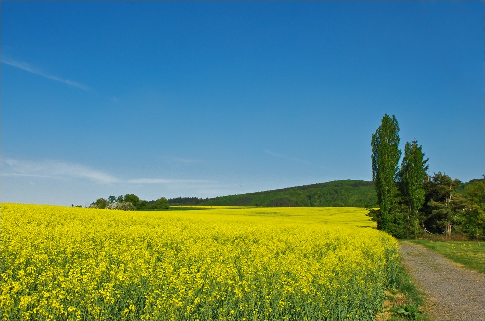 Farben eines Traumpfades