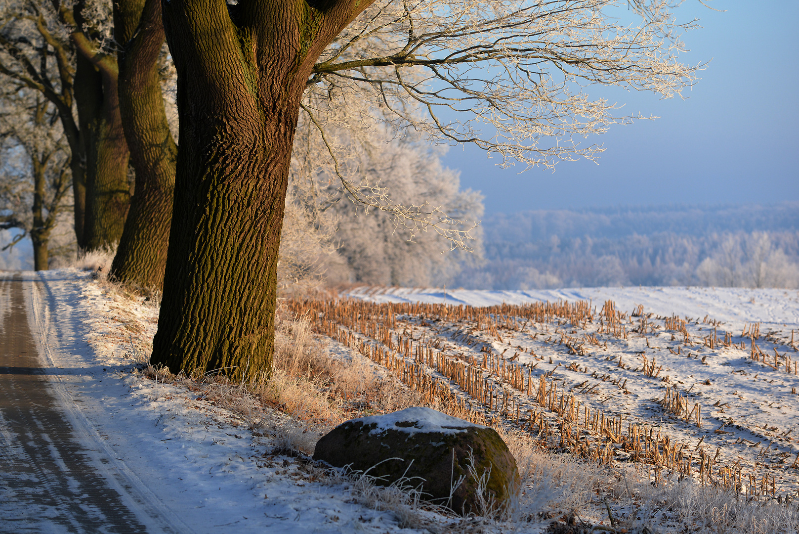 . farben eines wintermorgens .