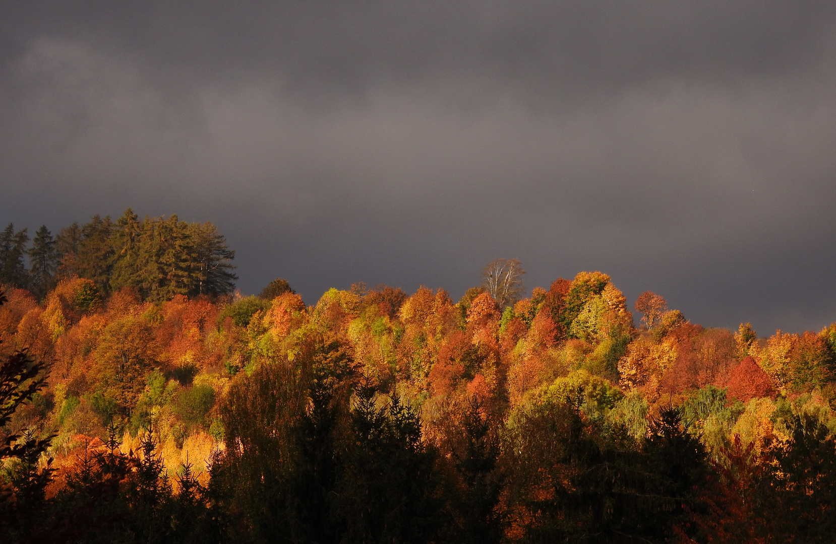 Farben-Explosion