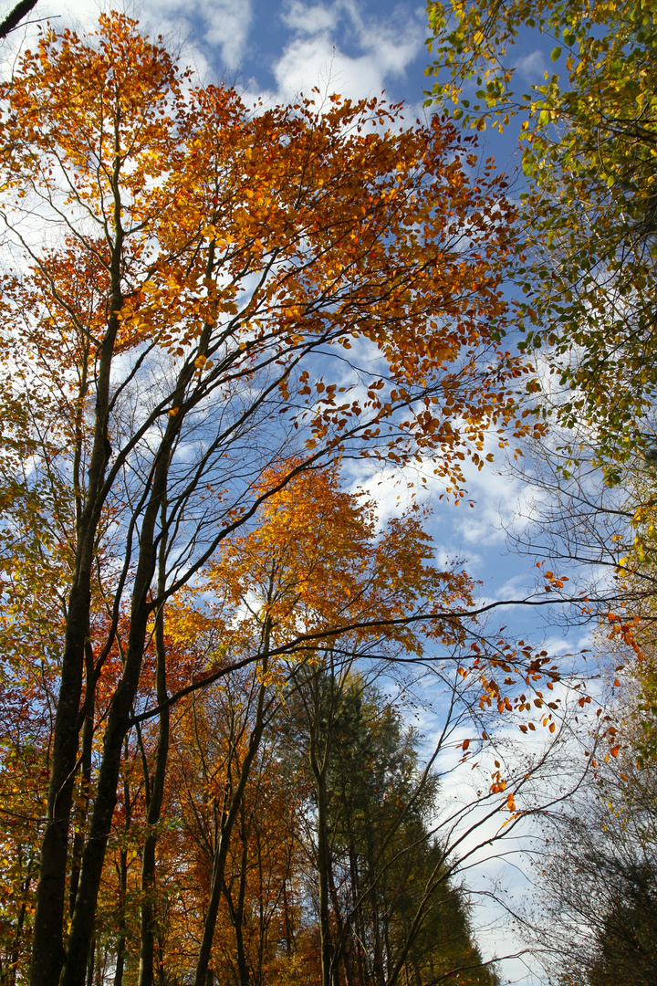 Farben fangen