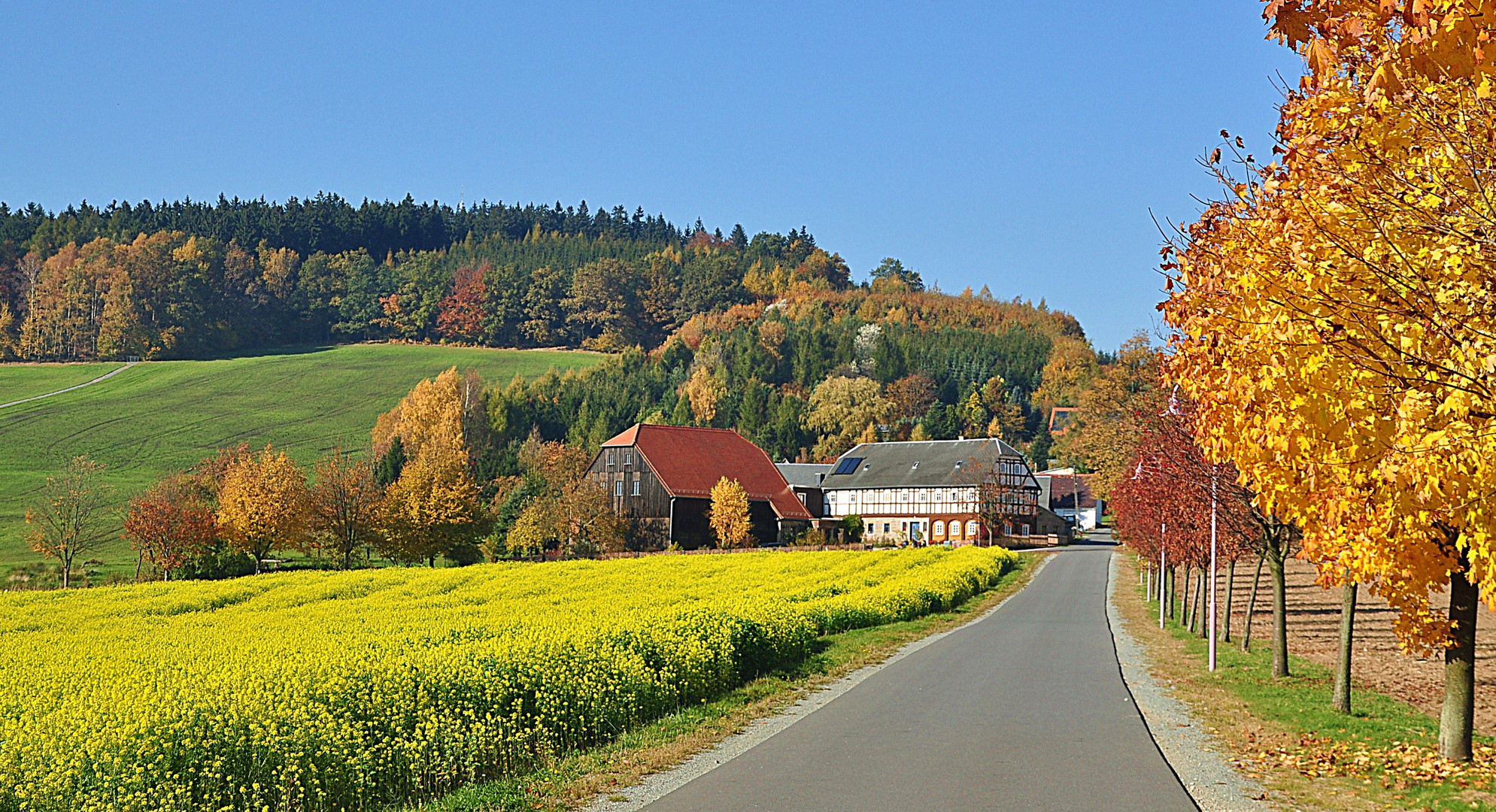 Farben, Farben, Farben ...