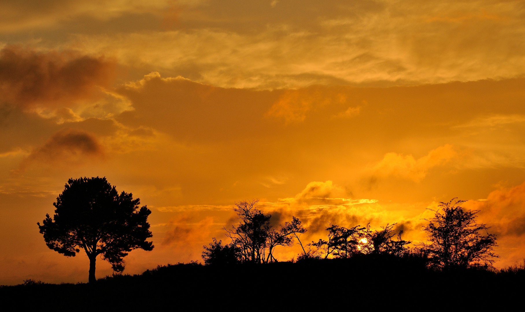 Farben fast wie in Afrika, Sonnenuntergang... 