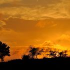 Farben fast wie in Afrika, Sonnenuntergang... 