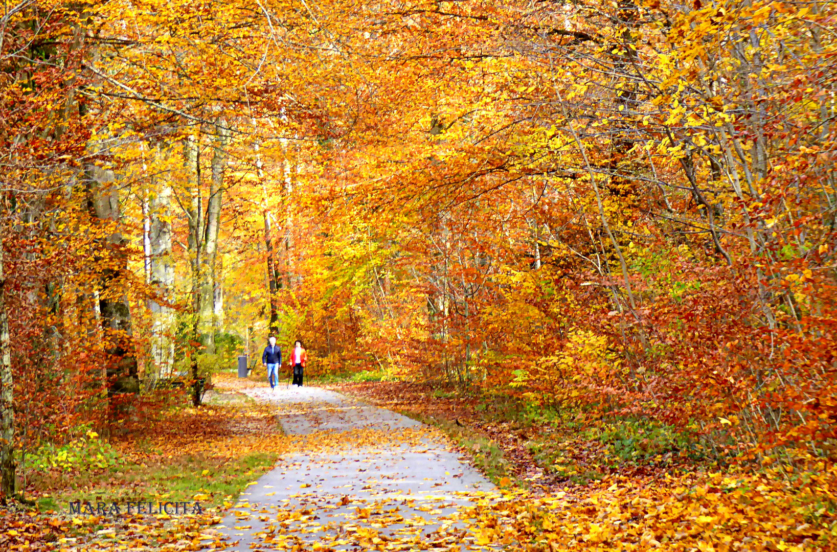 FARBEN FINALE HERBST 2018    