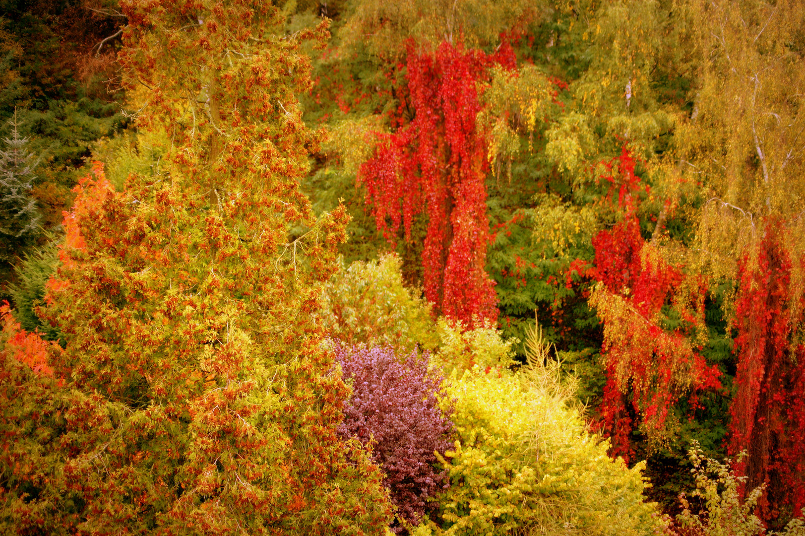 Farben froh bei Regen