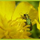 Farben fürs Wochenende