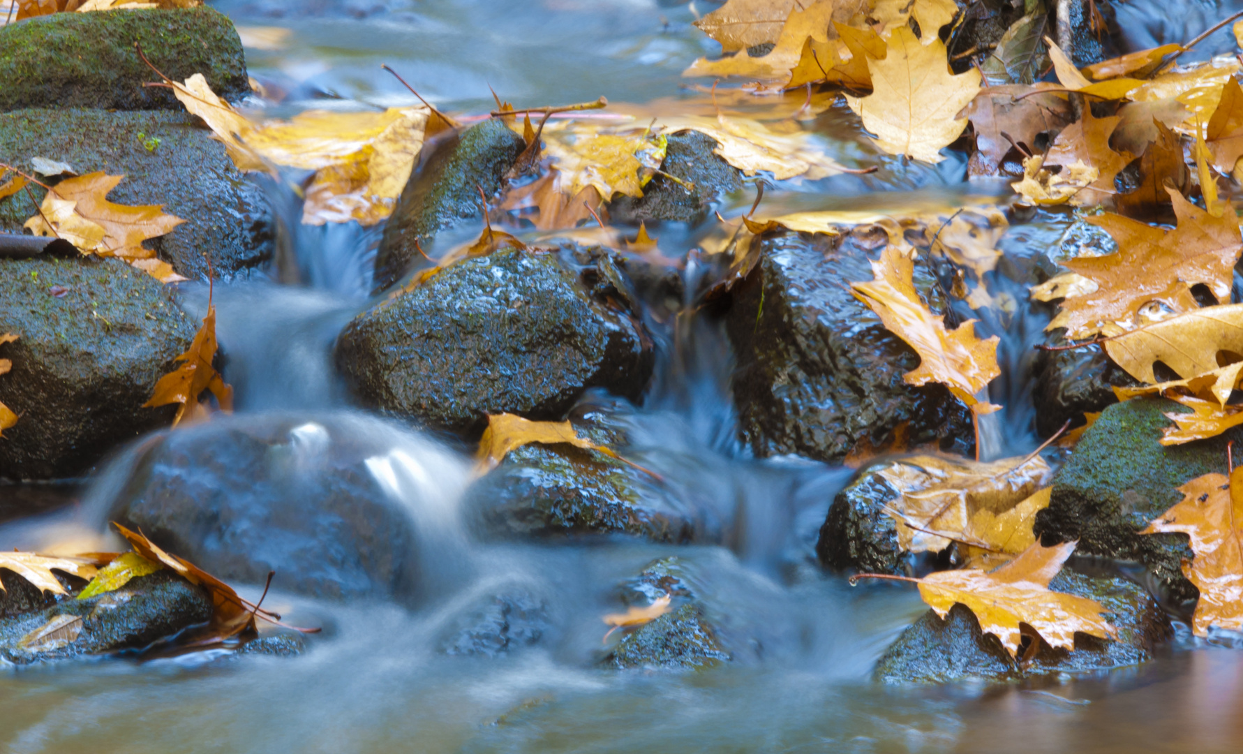 Farben gehen den Bach runter....