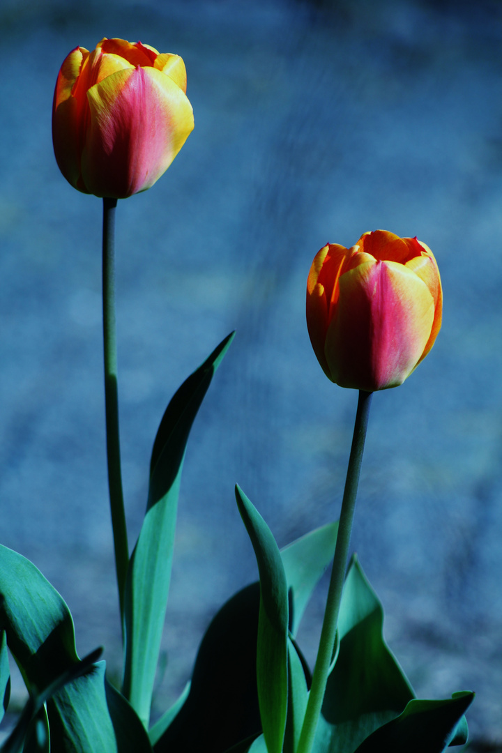 Farben im April