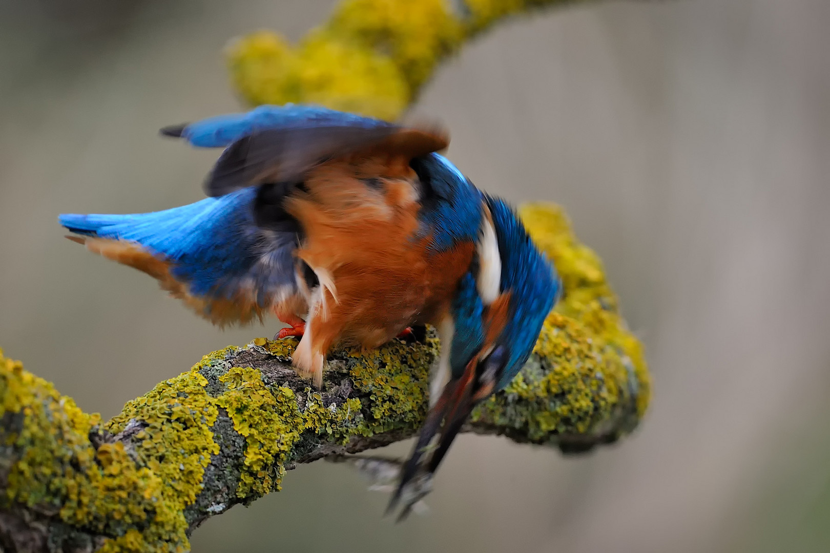 Farben im Februar