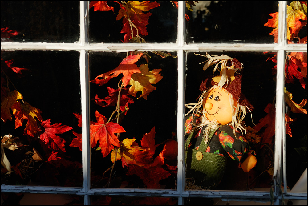 [ Farben im Fenster ]