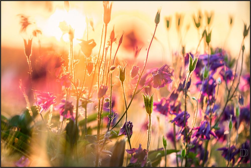 Farben im Frühling