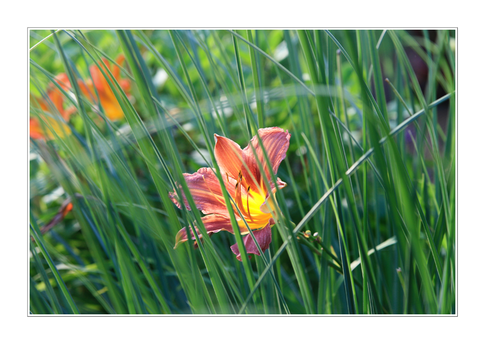 Farben im Grün