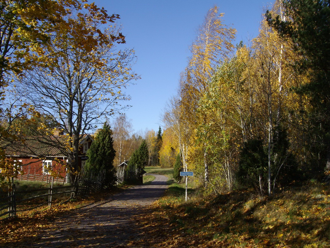 Farben im Herbst