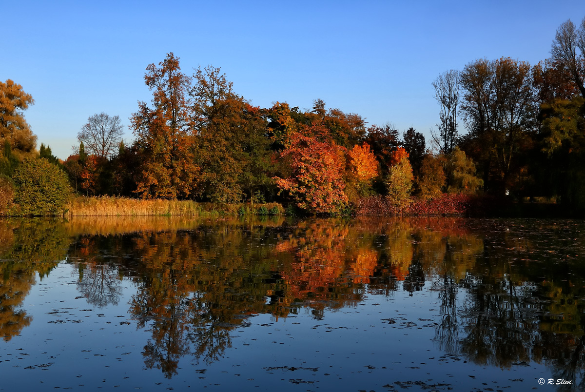 Farben im Herbst 