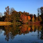 Farben im Herbst 