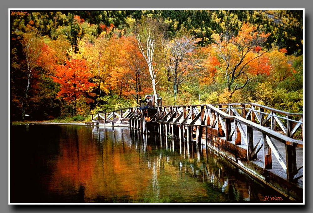 Farben im Herbst