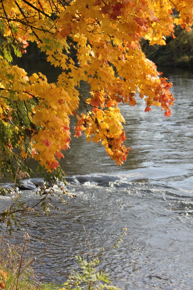 Farben im Herbst 2012 (02)